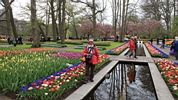 2017-04-20--15786.JPG