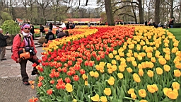 2017-04-20--15807.JPG