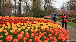 2017-04-20--15808.JPG