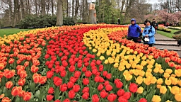 2017-04-20--15811.JPG