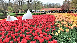2017-04-20--15813.JPG