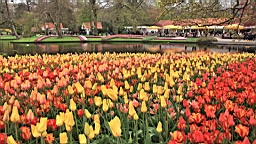 2017-04-20--15817.JPG