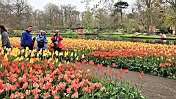 2017-04-20--15818.JPG