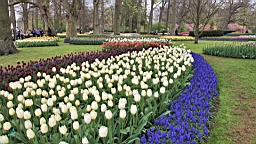 2017-04-20--15826.JPG