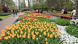 2017-04-20--15828.JPG