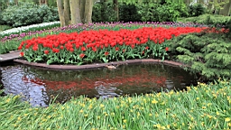 2017-04-20--15832.JPG