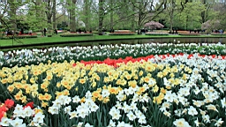 2017-04-20--15834.JPG