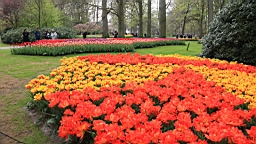 2017-04-20--15837.JPG