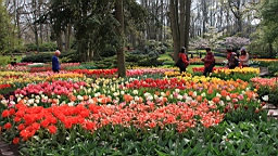 2017-04-20--15839.JPG