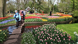 2017-04-20--15841.JPG