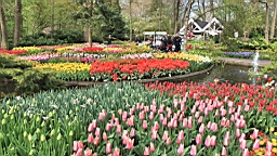 2017-04-20--15843.JPG
