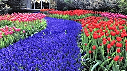 2017-04-20--15848.JPG
