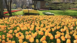 2017-04-20--15853.JPG