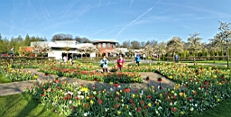 20170420_093854.jpg