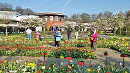 20170420_093921.jpg