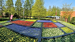 20170420_094102.jpg