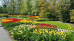 20170420_181548.jpg