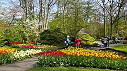 20170420_181622.jpg
