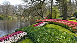 20170420_190527.jpg