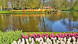 20170420_194309.jpg