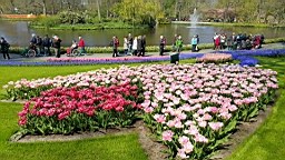 20170420_200033.jpg