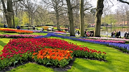 20170420_201301.jpg