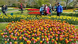 20170420_204024.jpg
