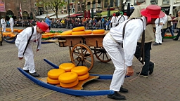 20170421_114137.jpg