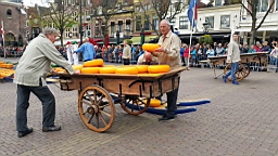 20170421_114223.jpg