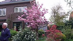 17_01475.JPG