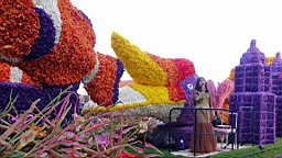 17_01503.JPG