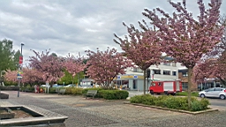 20170422_214652.jpg