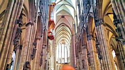 20170423_154119.jpg