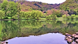 20170425_080715.jpg