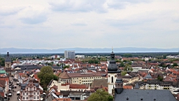 17_01619.JPG