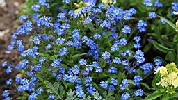 2017-04-26--17162.JPG