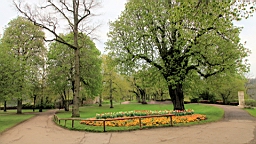 2017-04-27--17201.JPG