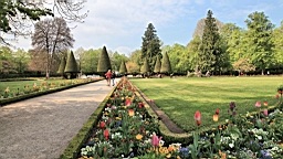 2017-04-28--17342.JPG