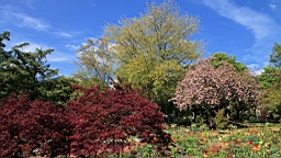 2017-04-30--17549.JPG