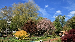 2017-04-30--17550.JPG