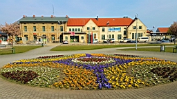 20170501_090816.jpg