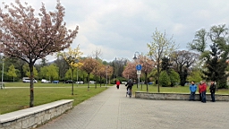 20170501_151525.jpg