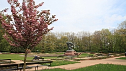 2017-05-05--17685.JPG
