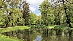 2017-05-05--17692.JPG