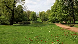 2017-05-05--17693.JPG