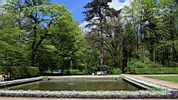 2017-05-05--17694.JPG