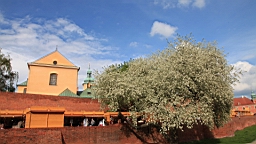 2017-05-05--17761.JPG