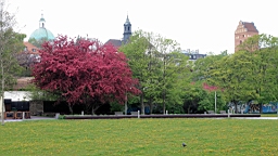 2017-05-06--17770.JPG