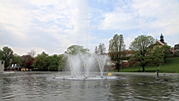 2017-05-06--17775.JPG