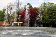 2017-05-06--17782.JPG